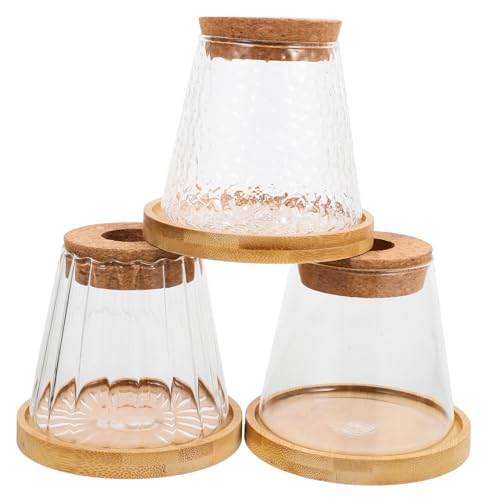 BESPORTBLE 3 Sätze Hydro Ponische Pflanzen Flasche Hydroponische Vase Pflanzenausbreitung Pflanzenvermehrungsvase Zimmerpflanzenzubehör Wasserpflanzer Für Innenräume Glas Transparent von BESPORTBLE