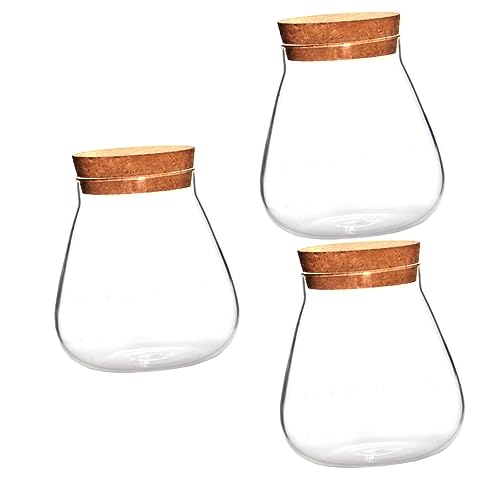 BESPORTBLE 3 Stck. Dekoratives Glasgefäß mit Korkverschluss Transparentes Aufbewahrungsglas für Sukkulenten Terrarium Vielseitiges Flaschengarten Geschenkidee für Zuhause und Büro von BESPORTBLE