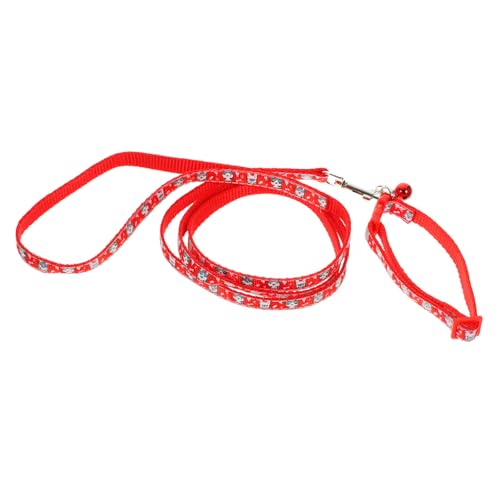 BESPORTBLE 3 Stück Trainingsleine Langes Polyester Hundeseil Hundetrainingsleine Gehorsam Rückruf Training Hundeleine BESPORTBLE 3 Stück Trainingsleine Langes Polyester Hundeseil Hundetrainingsleine Gehorsam Rückruf Training Hundeleine von BESPORTBLE