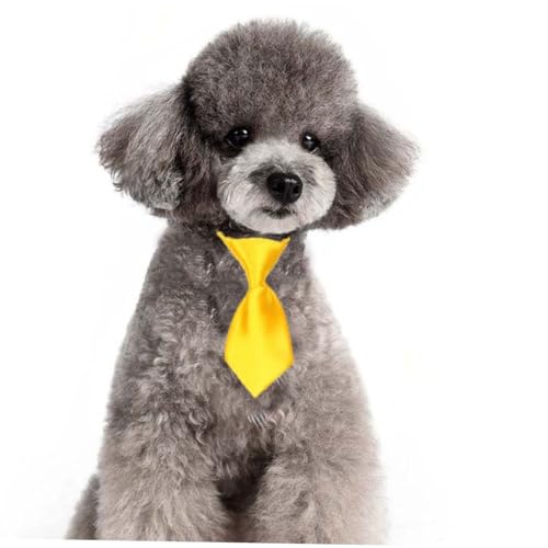 BESPORTBLE Elegantes Krawattenset Mit Fliegen Für Hunde Und Babys 30-teilig von BESPORTBLE