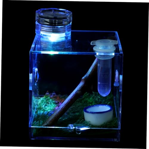 BESPORTBLE 3stücke Kleine Sprungspinnen-Habitat-Box Mit Lampe Und Futteröffnung Transparentes Terrarium Für Spinnen Schnecken Und Kleine Reptilien Einfach Zu Füttern Beobachten von BESPORTBLE