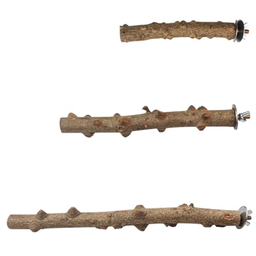 BESPORTBLE Papagei Grinds Sticks Papagei Stand Barsch Vogel Stand Pole Holz Vogel Klettern Stand Für Übung von BESPORTBLE