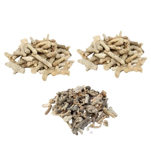 BESPORTBLE 3St Korallenstein für Fischbecken Sieb für die Spüle Filter für Aquarien Filtermaterial für Aquarien Praktisches Filtermaterial gewöhnliche Korallen Sand Aquarium von BESPORTBLE