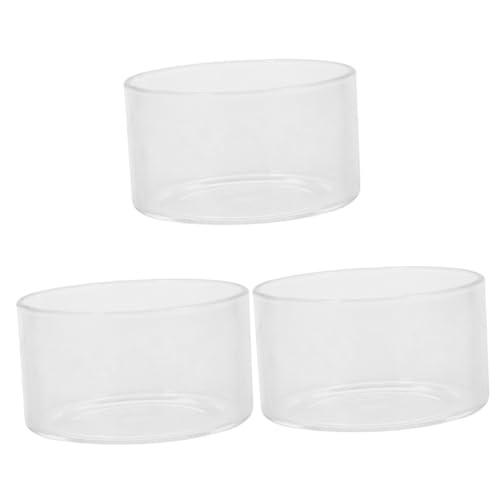 BESPORTBLE 3 Stücke Elegante Vase Pflanzer Glas Vase Für Pflanzen Große Blumentopf Pflanze Propagation Station von BESPORTBLE