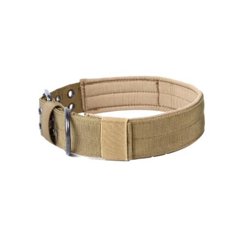 BESPORTBLE 3st Haustierhalsband Aus Nylon Strapazierfähiges Hundehalsband Welpenhalsband Hundehalsband Klein Für Welpen Hundehalsketten Für Kleine Hunde Große Hundehalsbänder von BESPORTBLE