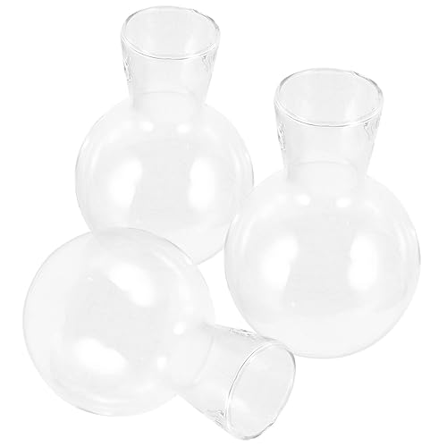 BESPORTBLE 3st Klare Glasvase Mit Holzrahmen Wasservase Tischvase Blumenhalter in Neuartiger Form Vasendekoration Für Zu Hause Pflanzflasche Wohnkultur Glas Mit Hohem Borosilikatgehalt von BESPORTBLE
