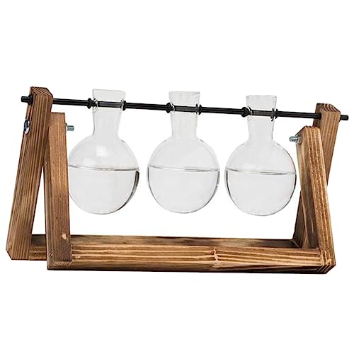 BESPORTBLE 3st Ornamente Behälter Für Blumenterrarium Die Glühbirne Zwiebelvase Wasservase Klarer Behälter Pflanzgefäße Für Zimmerpflanzen Vermehrungsvase Blumendekorationen Anlage Glas BESPORTBLE 3st Ornamente Behälter Für Blumenterrarium Die Glühbirne Zwiebelvase Wasservase Klarer Behälter Pflanzgefäße Für Zimmerpflanzen Vermehrungsvase Blumendekorationen Anlage Glas von BESPORTBLE