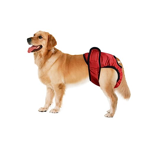 BESPORTBLE 3st Windeln Für Hunde Hundewindeln Hundephysiologische Hosen Haustierwindeln Haustier-windel-hygienehose Hund Physische Hosen Physiologische Hose Für Große Hunde BESPORTBLE 3st Windeln Für Hunde Hundewindeln Hundephysiologische Hosen Haustierwindeln Haustier-windel-hygienehose Hund Physische Hosen Physiologische Hose Für Große Hunde von BESPORTBLE