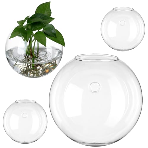 BESPORTBLE 4 Stück Glasvase Terrarienbehälter Hydroponische Blumenflasche Klarer Blasenpflanzer Hydrokultur-pflanzenvase Luftpflanzenterrarium Tischpflanzenterrarium Aquarium Pack von BESPORTBLE