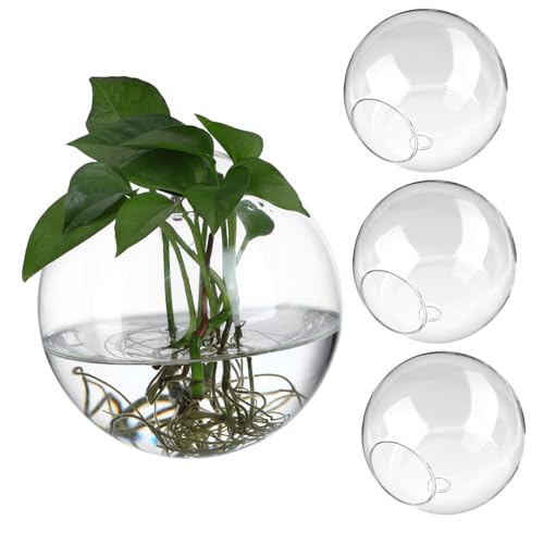 BESPORTBLE 4 Stück Glasvase gerundet Wand Kreis modern klein bürodeko büro Dekoration wohnaccessoires Wohnzimmerdekoration Flowerpot Pflanzen Terrarium Pflanzgefäße aus Glas Terrarienständer von BESPORTBLE