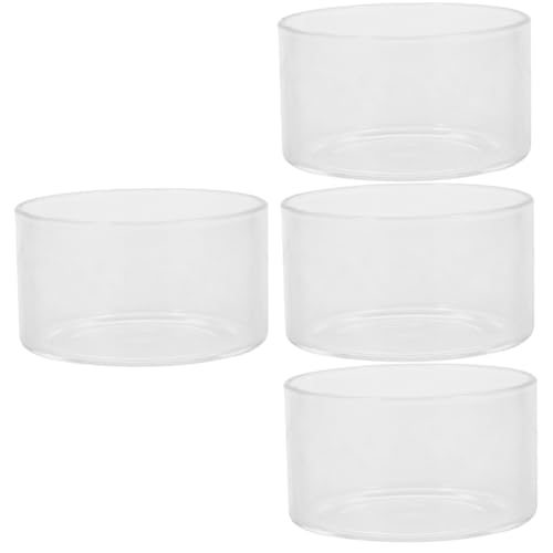 BESPORTBLE 4 Stücke Landschaft Terrarium Glas Anlage Flasche Glas Dekorative Pflanzer Set von BESPORTBLE