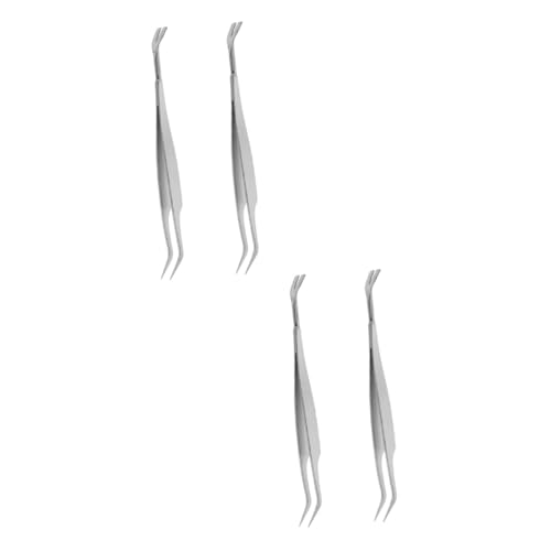 BESPORTBLE 4 Stück Pinzette Zeckenentferner Hundebehandlung Wimpern-kit Hundezecken Entferner Kit Zur Entfernung Von Zecken Kamm Für Welpen Hundezecken Entfernen Silver Rostfreier Stahl BESPORTBLE 4 Stück Pinzette Zeckenentferner Hundebehandlung Wimpern-kit Hundezecken Entferner Kit Zur Entfernung Von Zecken Kamm Für Welpen Hundezecken Entfernen Silver Rostfreier Stahl von BESPORTBLE