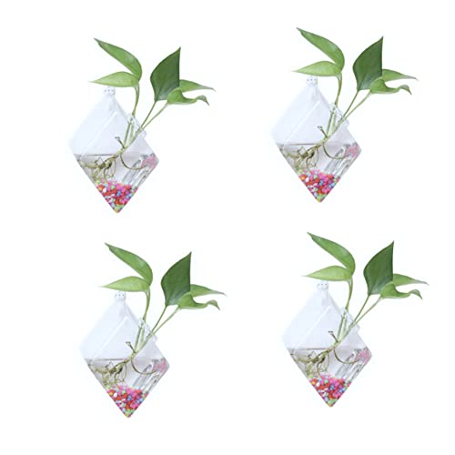 BESPORTBLE 4 Stück Rautenvase Vermehrungsvasen Für Pflanzen Terrarienglas Klarer Gärtnertopf Fenstervasen Fischglasvase Knospenvasen Klare Vase Pflanzenvermehrungsgläser Künstliche Pflanzen BESPORTBLE 4 Stück Rautenvase Vermehrungsvasen Für Pflanzen Terrarienglas Klarer Gärtnertopf Fenstervasen Fischglasvase Knospenvasen Klare Vase Pflanzenvermehrungsgläser Künstliche Pflanzen von BESPORTBLE