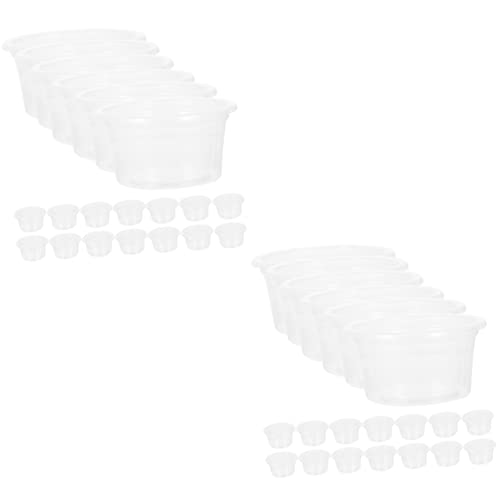 BESPORTBLE 40stücke Transparente Reptilien-Futter Und Wasserschalen Verschleißfest Multifunktionale Tiernahrungsschalen Für Schildkröten Eidechsen Geckos Und BESPORTBLE 40stücke Transparente Reptilien-Futter Und Wasserschalen Verschleißfest Multifunktionale Tiernahrungsschalen Für Schildkröten Eidechsen Geckos Und von BESPORTBLE