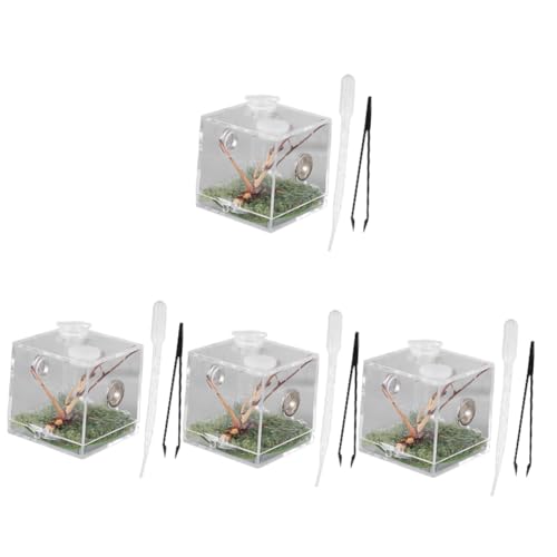 BESPORTBLE 4Er-Box Springspinnen-Zuchtbox kleines Terrarium Gecko Pflege Karakolen Tank insektenbox Insekten Box Reptilien Terrarium Belüftetes Terrarium Reptilfall Spinnenfall Acryl BESPORTBLE 4Er-Box Springspinnen-Zuchtbox kleines Terrarium Gecko Pflege Karakolen Tank insektenbox Insekten Box Reptilien Terrarium Belüftetes Terrarium Reptilfall Spinnenfall Acryl von BESPORTBLE