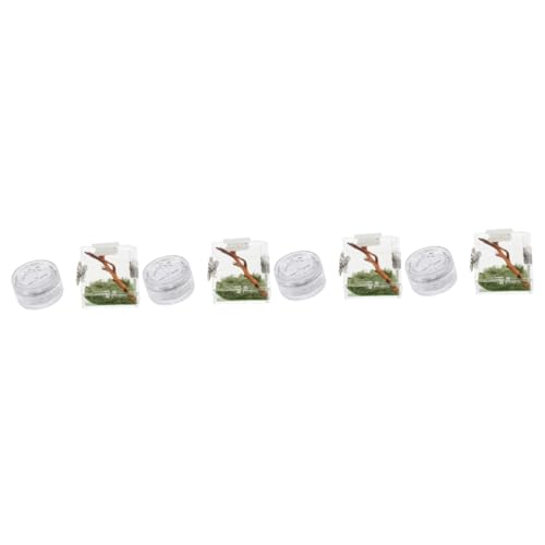 BESPORTBLE 4stücke Jumping Spider Habitat Box Mit Lampe Kleiner Zuchtbehälter Für Spinnen Und Einfach Zu Reinigen Beobachten Lampe Und Futteröffnung Für Kleine Haustiere BESPORTBLE 4stücke Jumping Spider Habitat Box Mit Lampe Kleiner Zuchtbehälter Für Spinnen Und Einfach Zu Reinigen Beobachten Lampe Und Futteröffnung Für Kleine Haustiere von BESPORTBLE