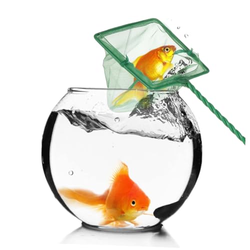 BESPORTBLE 4stücke Aquarium Fischernetz Feines Netz Bergungsnetz Fischnetz Für Fische Garnelen Fangen Im Aquarium Verwenden von BESPORTBLE