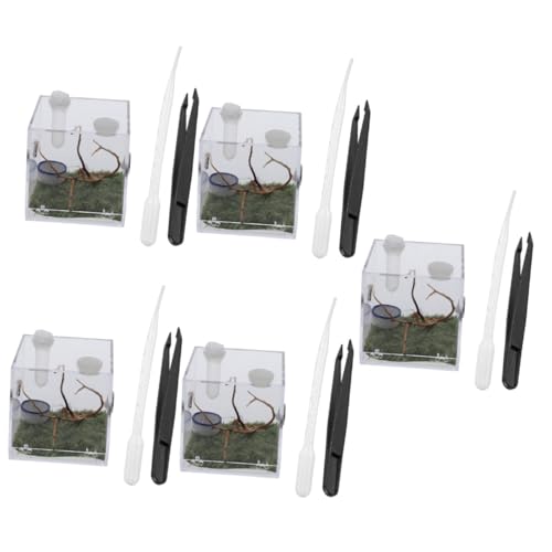 BESPORTBLE 5 Sätze Springspinnen-Zuchtbox reptichip Betrachterglas Sprungspinnengehege insektenhäuser Mini Terrarium Mini-Luftbefeuchter Tier Lebensraum von Insekten Spinnenlebensraum Acryl BESPORTBLE 5 Sätze Springspinnen-Zuchtbox reptichip Betrachterglas Sprungspinnengehege insektenhäuser Mini Terrarium Mini-Luftbefeuchter Tier Lebensraum von Insekten Spinnenlebensraum Acryl von BESPORTBLE