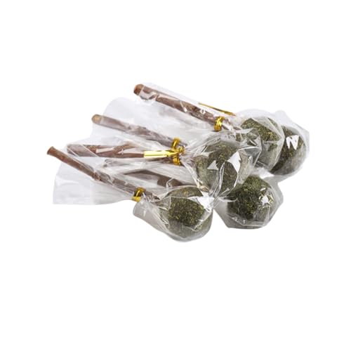 BESPORTBLE 5stücke Molar-Sticks Aus Heu Für Kleintiere Interaktive Kauspielzeuge Zur Zahnpflege Von Hamstern Kaninchen Meerschweinchen Co Nahrhafte Spielzeuge Zahngesundheit BESPORTBLE 5stücke Molar-Sticks Aus Heu Für Kleintiere Interaktive Kauspielzeuge Zur Zahnpflege Von Hamstern Kaninchen Meerschweinchen Co Nahrhafte Spielzeuge Zahngesundheit von BESPORTBLE