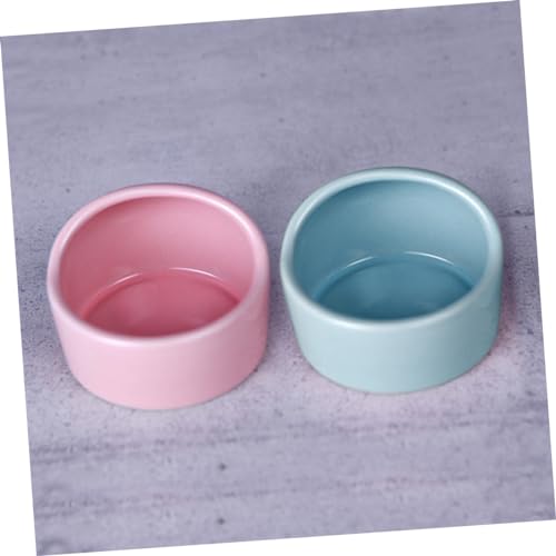 BESPORTBLE 5 Stücke Keramiknapf für Hamster Anti Biss Futternapf Kreative Futter und Wasserschalen für Nagetiere für Trockenfutter und Snacks BESPORTBLE 5 Stücke Keramiknapf für Hamster Anti Biss Futternapf Kreative Futter und Wasserschalen für Nagetiere für Trockenfutter und Snacks von BESPORTBLE