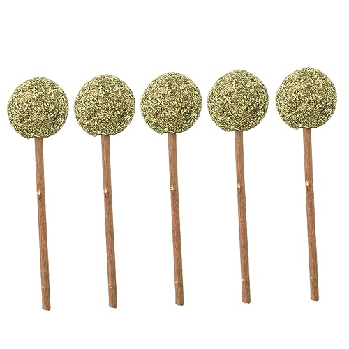 BESPORTBLE 5St Katzenspielzeug Katzenminze Lutscher Backenzahn-Stab-Haustier necken Kätzchen Katzenminze-Ball Katzenminzball Backenzähne bar BESPORTBLE 5St Katzenspielzeug Katzenminze Lutscher Backenzahn-Stab-Haustier necken Kätzchen Katzenminze-Ball Katzenminzball Backenzähne bar von BESPORTBLE