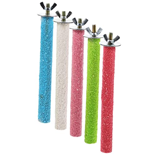 BESPORTBLE 5st Farbe Matte Standstange Papageienleiter Vogelschaukel Vogel Im Freien Vogelkäfige Kleiner Vogelkäfig Papageienspielzeug Großer Papageienbarsch Vogelhaus Fliegend Holz BESPORTBLE 5st Farbe Matte Standstange Papageienleiter Vogelschaukel Vogel Im Freien Vogelkäfige Kleiner Vogelkäfig Papageienspielzeug Großer Papageienbarsch Vogelhaus Fliegend Holz von BESPORTBLE