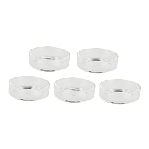 BESPORTBLE 5 Stücke Runde Garnelen Futternapf Kristall Gericht Aquarium Decor Sicher Feeder Bowl Ornamental Garnelen Fütterung Topf BESPORTBLE 5 Stücke Runde Garnelen Futternapf Kristall Gericht Aquarium Decor Sicher Feeder Bowl Ornamental Garnelen Fütterung Topf von BESPORTBLE