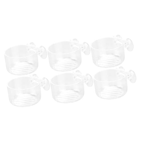 BESPORTBLE 6 STK Futterautomat Für Fische Und Garnelen Süßwasser-Tray-Futter Automatische Futterspender Für Haustiere Futterbehälterhalter Futternapf Für Aquarien Artemia Acryl Fischfutter BESPORTBLE 6 STK Futterautomat Für Fische Und Garnelen Süßwasser-Tray-Futter Automatische Futterspender Für Haustiere Futterbehälterhalter Futternapf Für Aquarien Artemia Acryl Fischfutter von BESPORTBLE