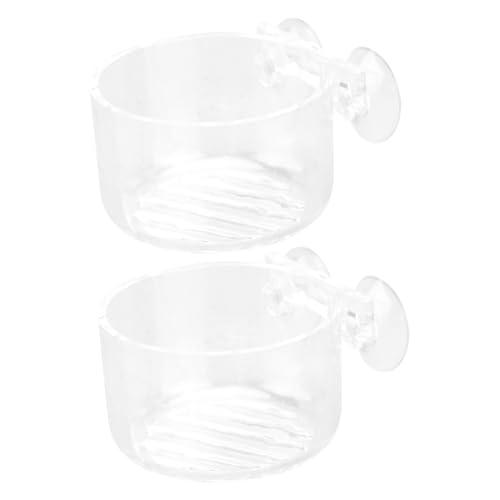 BESPORTBLE 6 STK Futterautomat für Fische und Garnelen Aquarium aus Glas Gecko-Futterschale Automatic Fish Feeder Fischfutterautomatik Essenstablett rote würmer futterhalter Fischfutterschale von BESPORTBLE