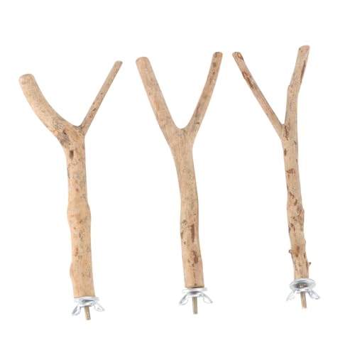 BESPORTBLE 6stücke Holzstand Für Papageien Kletterspielzeug Und Krallenpflege Für Vögel Für Wellensittiche Und Nymphensittiche Zufälligen Formen Erhältlich BESPORTBLE 6stücke Holzstand Für Papageien Kletterspielzeug Und Krallenpflege Für Vögel Für Wellensittiche Und Nymphensittiche Zufälligen Formen Erhältlich von BESPORTBLE