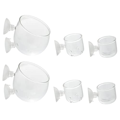 BESPORTBLE 6er-Pack Wasserpflanzenbecher – Rotwurm-futterspender Aus Glas Für Aquarienpflanzen Becher Für Wasserpflanzen Für Süßwasser- Und Aquarien BESPORTBLE 6er-Pack Wasserpflanzenbecher – Rotwurm-futterspender Aus Glas Für Aquarienpflanzen Becher Für Wasserpflanzen Für Süßwasser- Und Aquarien von BESPORTBLE