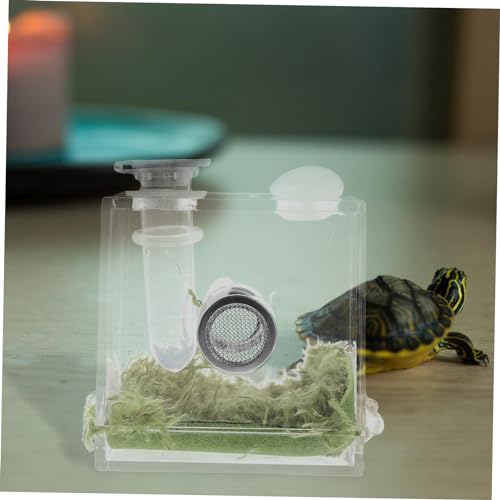 BESPORTBLE 8 Sätze Reptilienbehälter aus Transparente Zuchtbox für Springspinne Robustes Lichtdurchlässiges Gehäuse Kompakt und Leicht für Beobachtung und Fütterung Kleiner Wirbelloser von BESPORTBLE
