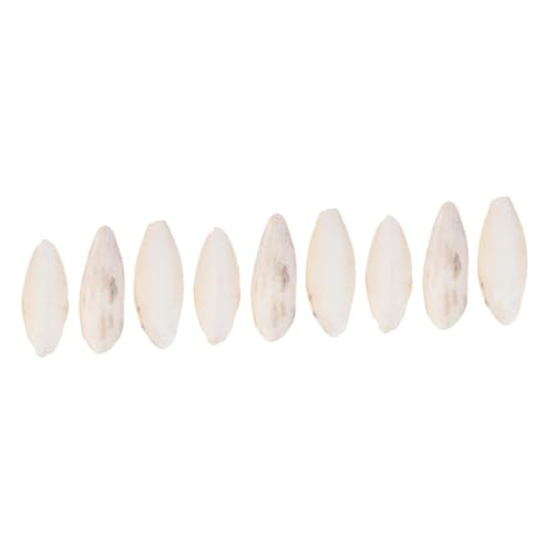 BESPORTBLE 9 STK Cuttlebone Kauspielzeug Kuschelknochen kanarisches Essen nager Spielzeug löthilfe Spielzeuge Cuttlebone-Beißspielzeug Haustierbiss Sepia kriechen Vögel Skelett Lebensmittel BESPORTBLE 9 STK Cuttlebone Kauspielzeug Kuschelknochen kanarisches Essen nager Spielzeug löthilfe Spielzeuge Cuttlebone-Beißspielzeug Haustierbiss Sepia kriechen Vögel Skelett Lebensmittel von BESPORTBLE