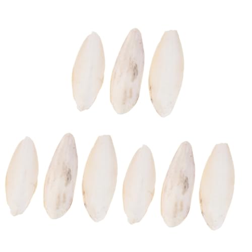 BESPORTBLE 9 STK Cuttlebone-Beißspielzeug natürlicher Tintenfischknochen Cuttlebone molares Hamster nager Spielzeug kalkreiniger Haustierbiss Sepia Cuttlebone Kauspielzeug Beige BESPORTBLE 9 STK Cuttlebone-Beißspielzeug natürlicher Tintenfischknochen Cuttlebone molares Hamster nager Spielzeug kalkreiniger Haustierbiss Sepia Cuttlebone Kauspielzeug Beige von BESPORTBLE