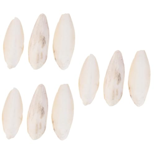 BESPORTBLE 9 STK Haustierbiss Sepia Sittich Sepia Tierhalter nager Spielzeug löthilfe Spielzeuge Knochen Haustier-Kauen-Anhänger Cuttlebone molares kriechen Lebensmittel Vogelregal BESPORTBLE 9 STK Haustierbiss Sepia Sittich Sepia Tierhalter nager Spielzeug löthilfe Spielzeuge Knochen Haustier-Kauen-Anhänger Cuttlebone molares kriechen Lebensmittel Vogelregal von BESPORTBLE