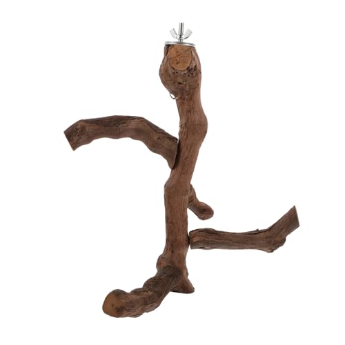 BESPORTBLE Papageienstange Natürlicher Vogel-stehstab Aus Holz Papageien-spielständer Vogelständer Grobe Papageienstange Grob Handbemalt Tier-papageienständer Für Haustiervögel von BESPORTBLE