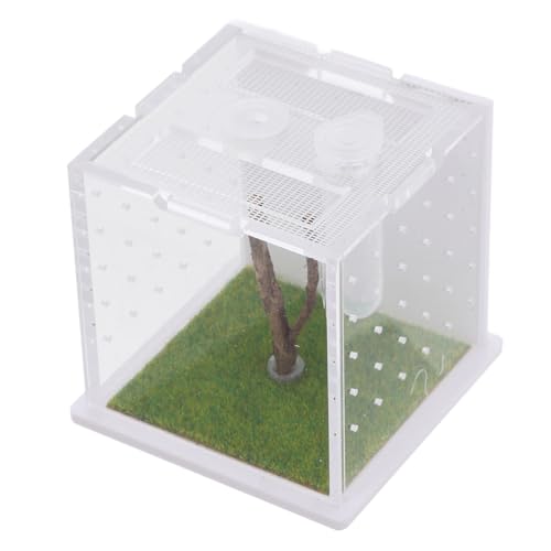 BESPORTBLE Acryl Insekten Terrarium mit Belüftungslöchern Transparentes Spinnenzuchtgehäuse für Springspinnen und Kleine Insekten Professionelles Futterbox Design für Beobachtung und Pflege BESPORTBLE Acryl Insekten Terrarium mit Belüftungslöchern Transparentes Spinnenzuchtgehäuse für Springspinnen und Kleine Insekten Professionelles Futterbox Design für Beobachtung und Pflege von BESPORTBLE