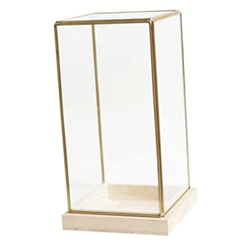 BESPORTBLE Antike Glasdisplaybox Mit Gehäuse Vintage Schmuck Und Modellhalter Für Stilvolle Wohn Und Ausstellungsdeko Kleine Glasvitrine Zur Präsentation Von Sammlerstücken von BESPORTBLE
