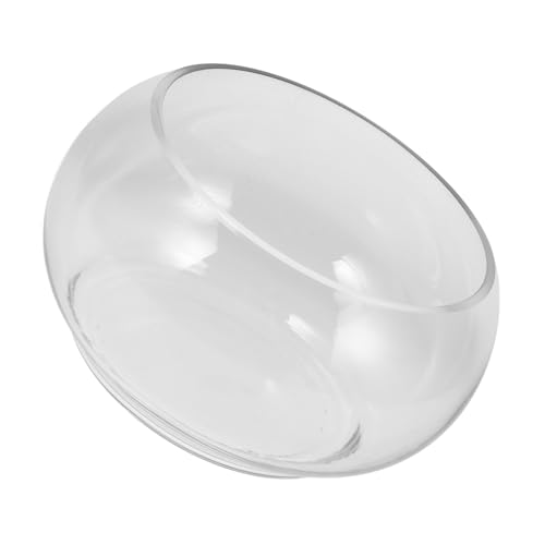 BESPORTBLE Aquarium Behälter Klarglas Multifunktionale Hydrokultur Vase Für Desktop Dekoration Selbstbewässerndes Pflanzgefäß Design von BESPORTBLE