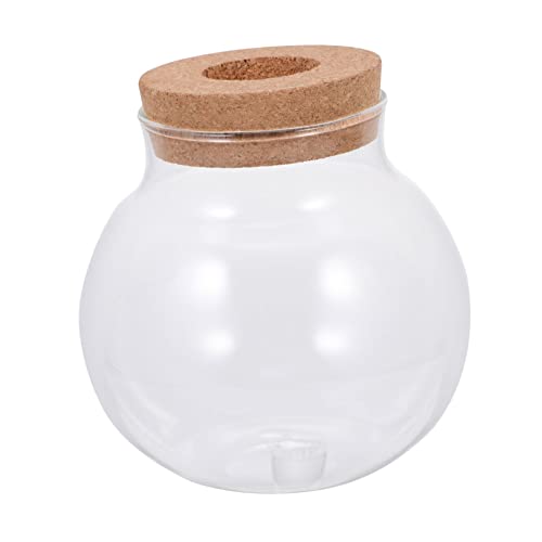 BESPORTBLE Aquarium Terrarienglas aus Glas mini glasflaschen Ornament Creative Vase Anlage Flasche mit Mikrolandschaft Desktop-Glasflasche Miniatur Dekorationen Sukkulente Pflanzen Blumentopf von BESPORTBLE