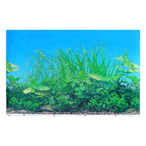 BESPORTBLE Aquarium Hintergrundpapier Lichtleiste Überwachen Teich Futterspender Schläuche Aquarium-tapete Anlage Tank Schildkröten- Tauchfähig Aquariumdekorationen Dickfilmpapier BESPORTBLE Aquarium Hintergrundpapier Lichtleiste Überwachen Teich Futterspender Schläuche Aquarium-tapete Anlage Tank Schildkröten- Tauchfähig Aquariumdekorationen Dickfilmpapier von BESPORTBLE