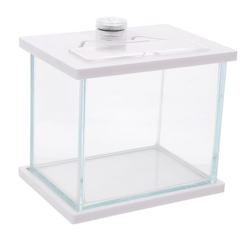 BESPORTBLE Aquarium Aquarium Glas Tank Wohnzimmer Landschaftsbau Decor Desktop Fisch Tank BESPORTBLE Aquarium Aquarium Glas Tank Wohnzimmer Landschaftsbau Decor Desktop Fisch Tank von BESPORTBLE