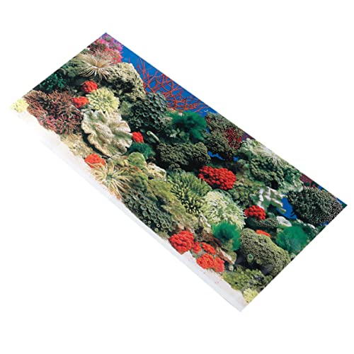 BESPORTBLE Geschmückt dekor stilvolles Aquarium 3D-Bilder leicht zu reinigen Dekorationen für Ihre Kinder Toile-Tapete 3D-Tapete Aufkleber dekoratives Bild schmücken Dekorative Gemälde von BESPORTBLE