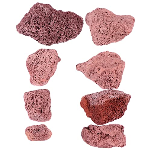 BESPORTBLE 500g Lava Steine Bio Filtermedium Für Aquarien Und Terrarien Dekosteine Für Garten Vielseitige Filtersteine Zur Wasser Bodennahrung von BESPORTBLE