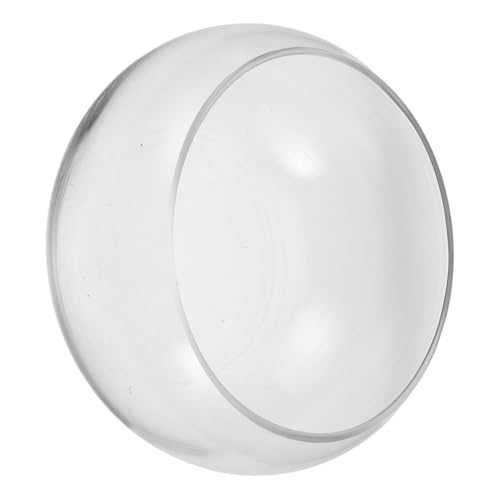 BESPORTBLE Blumentopf Aus Glas Pflanzgefäß Vase Heimdekoration Schildkrötenvasen Hochwertige Dekoration Blumentopfvasen Dekorative Malerei Bilderrahmen Innenbehälter Innenvasen BESPORTBLE Blumentopf Aus Glas Pflanzgefäß Vase Heimdekoration Schildkrötenvasen Hochwertige Dekoration Blumentopfvasen Dekorative Malerei Bilderrahmen Innenbehälter Innenvasen von BESPORTBLE