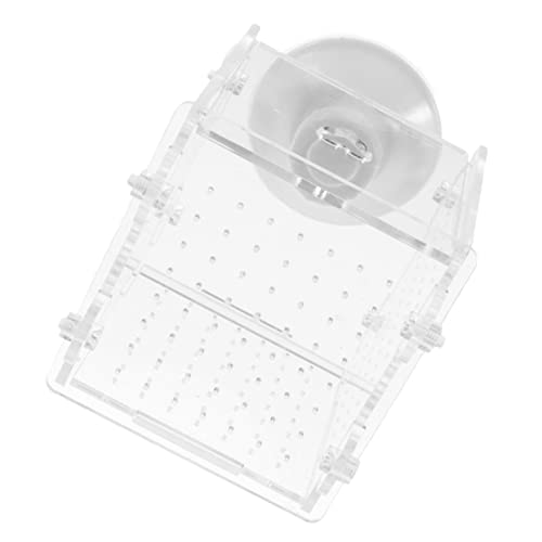 BESPORTBLE Box Fischtank Zuchtbox Fischaquarium Getrennter Fischtank Aquarienpflanzen Fischtank Trennwand Aquariumgitter Fischtankzubehör Fischtank Luftpumpe Acryl Transparent von BESPORTBLE