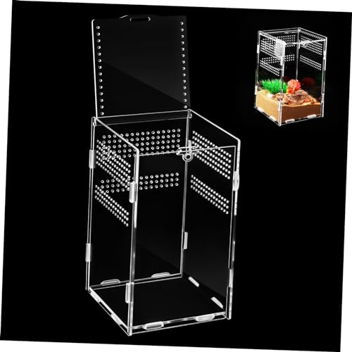 BESPORTBLE Springende Spinne Gehäuse Reptil Fütterung Box Einfache Montage Für Tank Schnecke Terrarium Insekt von BESPORTBLE