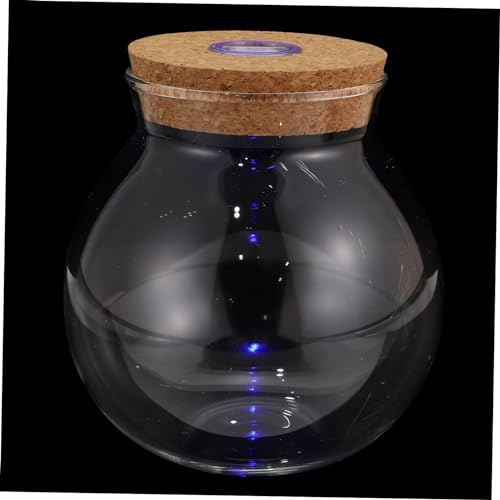 BESPORTBLE Landschaftsflasche Pflanzen-Terrarium -Glas 7 Farben Leicht Zu Reinigen Für Die Inneneinrichtung BESPORTBLE Landschaftsflasche Pflanzen-Terrarium -Glas 7 Farben Leicht Zu Reinigen Für Die Inneneinrichtung von BESPORTBLE