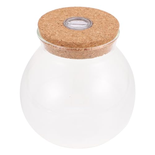 BESPORTBLE Bunte Ökologische Flasche Mikrolandschaftshalter Einfaches Pflanzenterrarium Mikrolandschaftsflasche Behälter Für Mikrolandschaften Landschaftsbastelflasche Landschaft Flasche Glas BESPORTBLE Bunte Ökologische Flasche Mikrolandschaftshalter Einfaches Pflanzenterrarium Mikrolandschaftsflasche Behälter Für Mikrolandschaften Landschaftsbastelflasche Landschaft Flasche Glas von BESPORTBLE