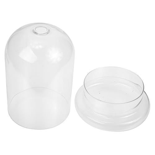 BESPORTBLE DIY Glasflasche für Moos und Terrarium Behälter für Wohn und Bürodeko Pflanzenarrangements Geschenkideen BESPORTBLE DIY Glasflasche für Moos und Terrarium Behälter für Wohn und Bürodeko Pflanzenarrangements Geschenkideen von BESPORTBLE